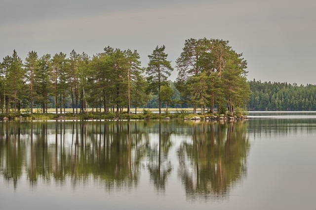 Sony RX 10 V_36w.jpg