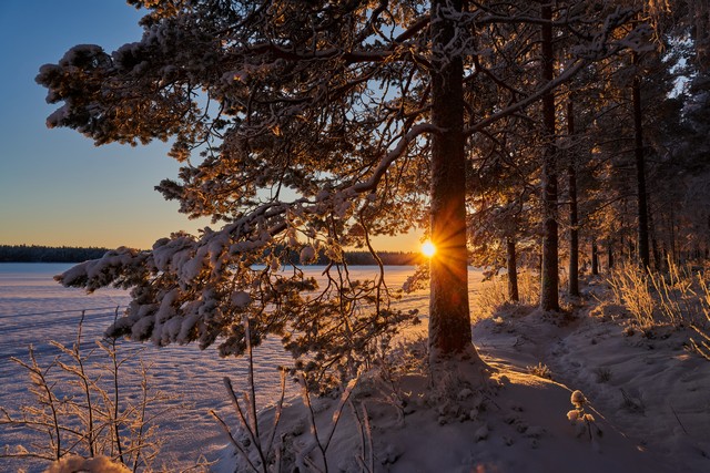 Nikon Z 24-105 f4-7.1_33w.jpg