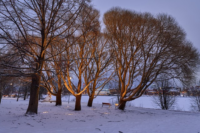 Panasonic S1 II_25w.jpg