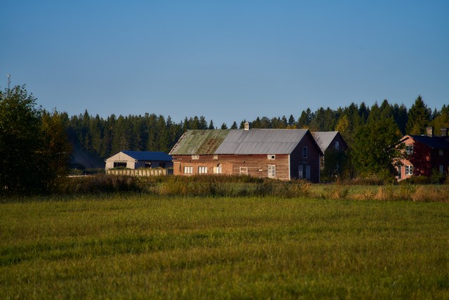 Sigma 20-200mm DG C_16w.jpg