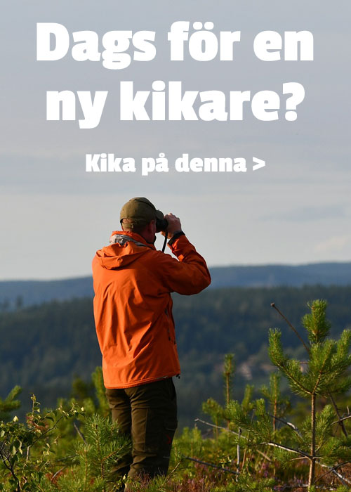 kikare_meny.jpg