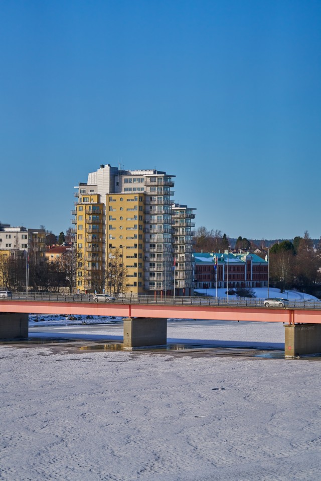 Sony 100mm f2.8 Macro_16w.jpg