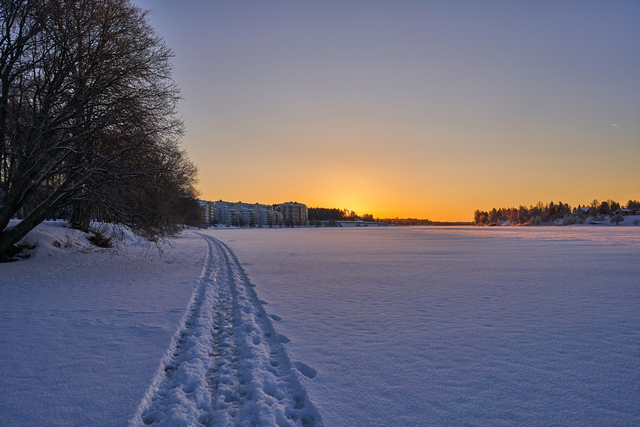 Samyang V-AF 24mm f1.8_10w.jpg