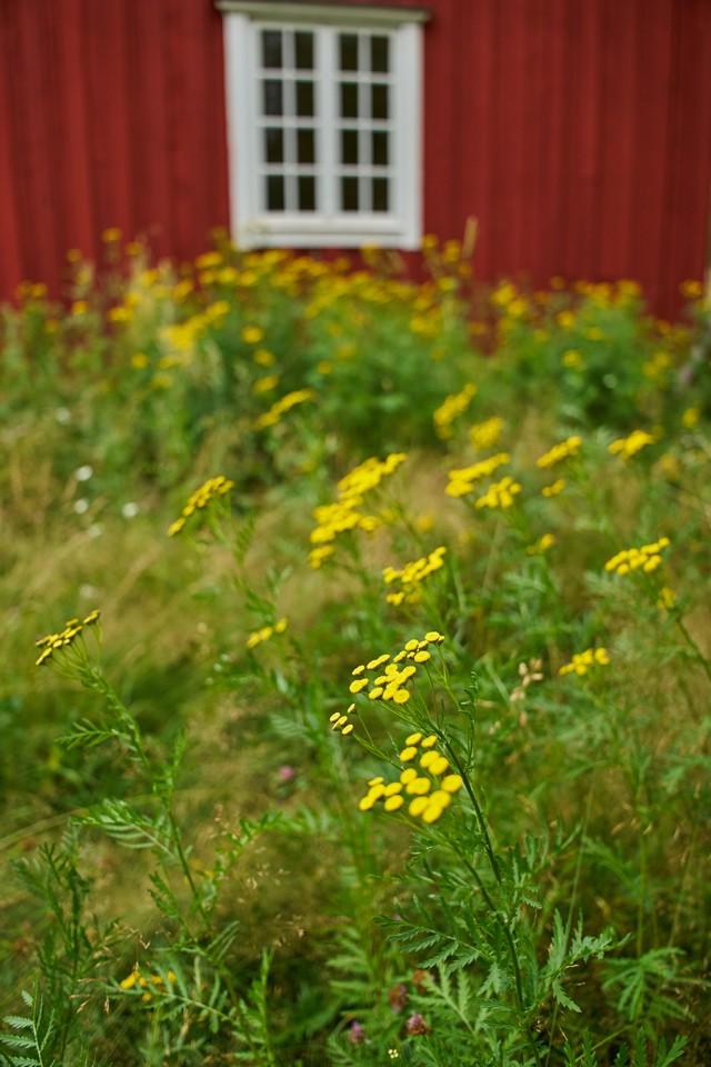 Sigma 17-40mm f1.8_6w.jpg