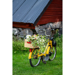 NicolineTengstrandSommarbild_blogg.jpeg