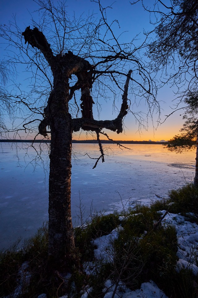 Viltrox 9mm f2.8_5w.jpg