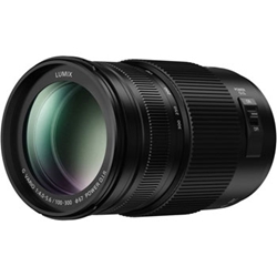 Lumix G Vario 100-300mm f/4-5,6 II Power OIS (för Micro 4/3)