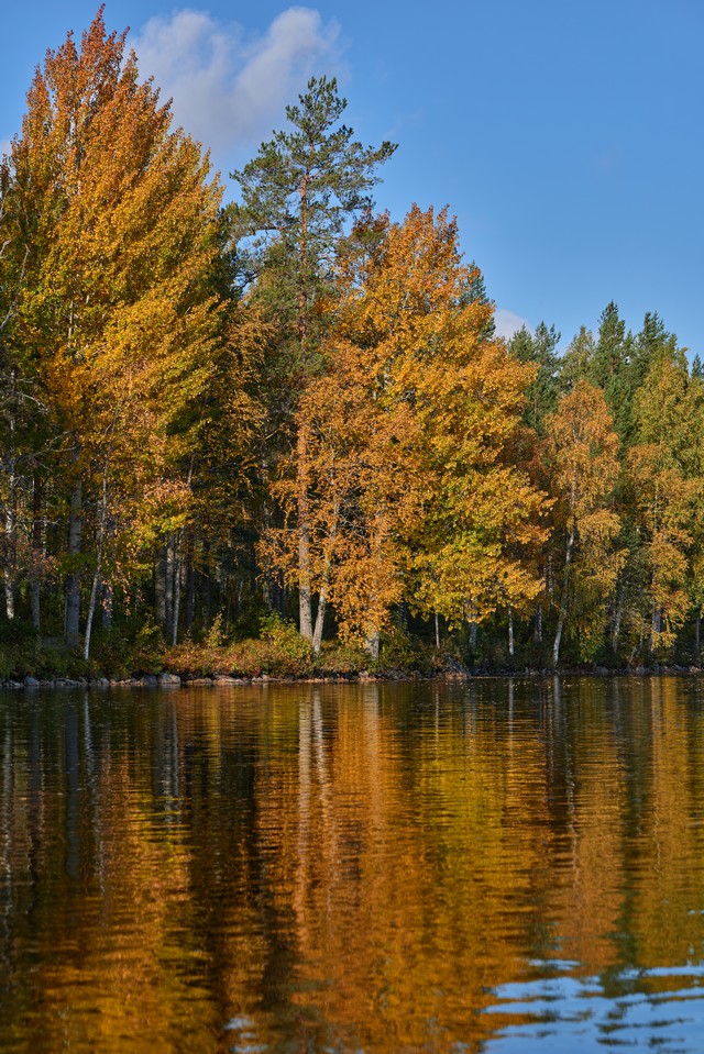 Canon RF 85mm f1.4 VCM_31w.jpg