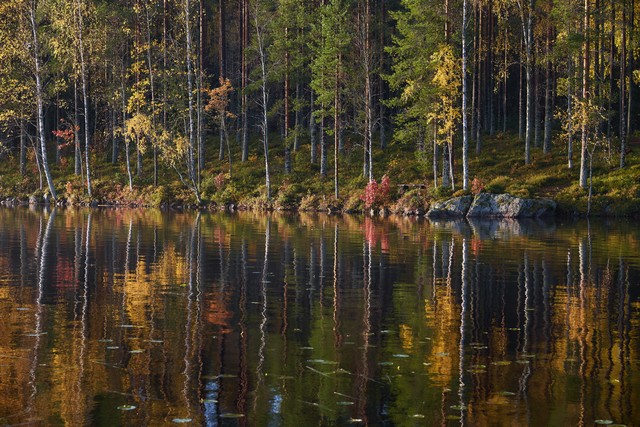 Viltrox 56mm f1.2_12w.jpg