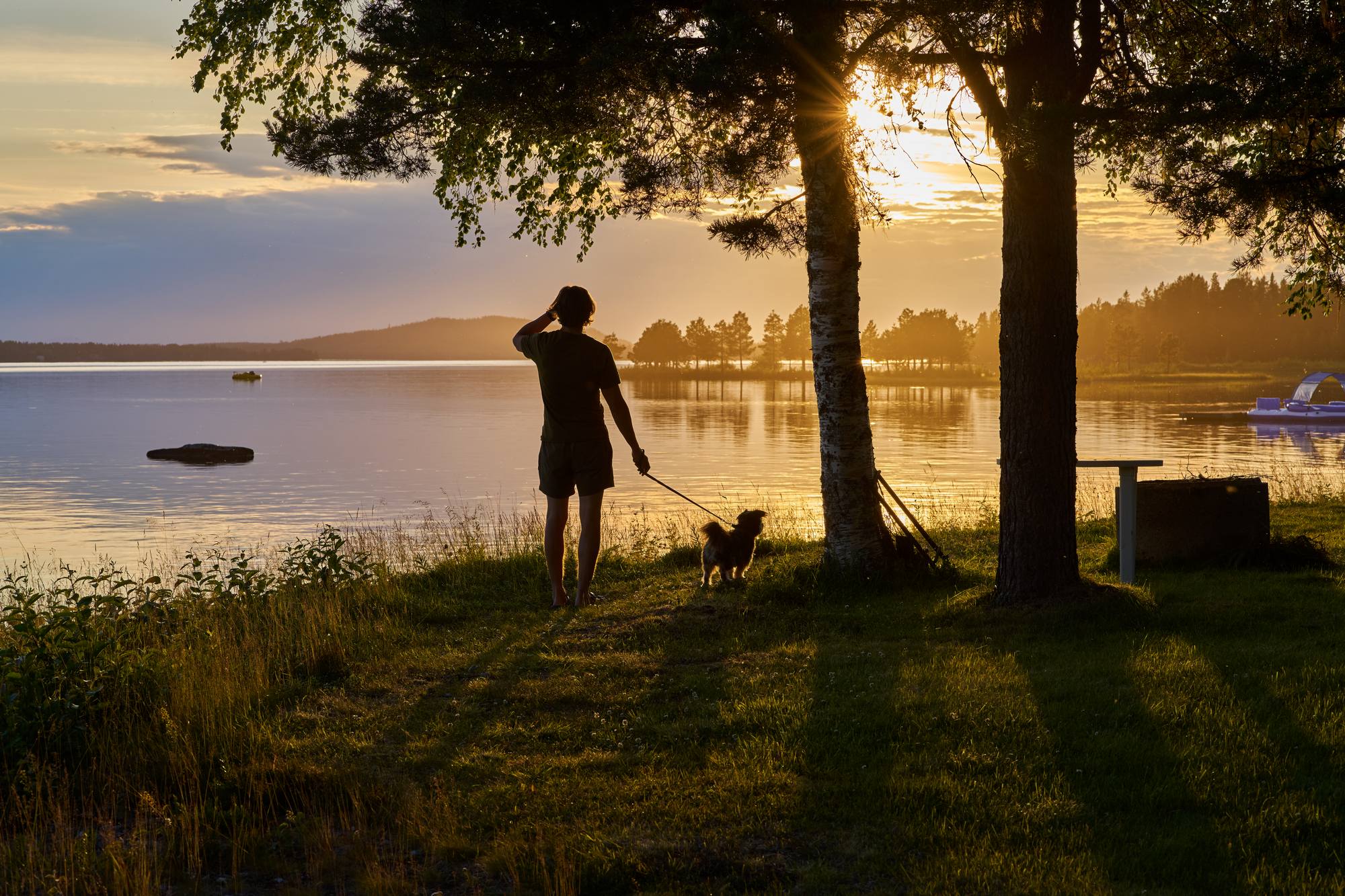 Sony FE 55mm f1.8_blogg2.jpg