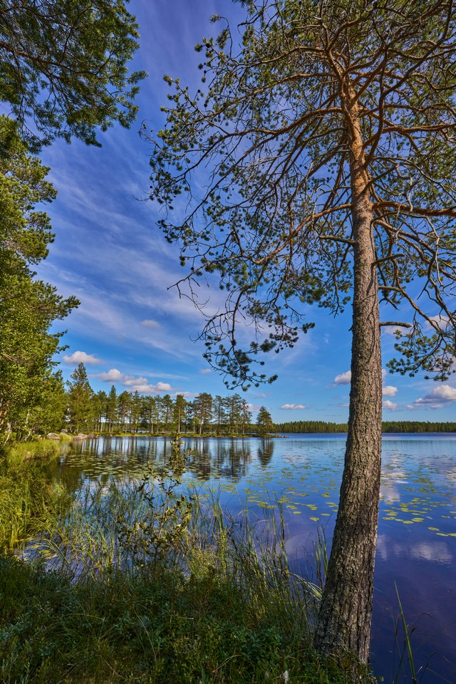 Tamron 16-30mm f2.8_2w.jpg