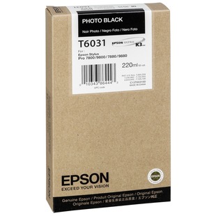 T6031 Photo black, 220 ml