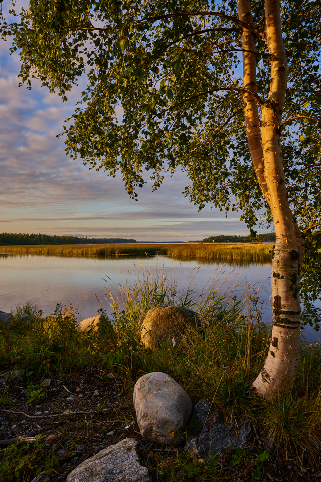 Nikon Z 24-50_20w.jpg