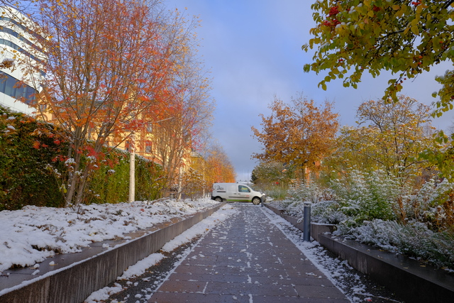 Fujifilm_X Pro 3_17w.jpg