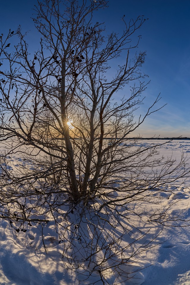 Canon RF 7-14mm_7w.jpg