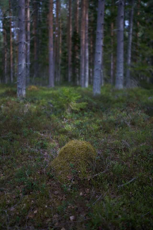 Viltrox 35mm f1.2 LAB_23w.jpg