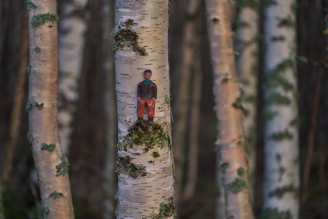 Tamron 25-200mm_11w.jpg