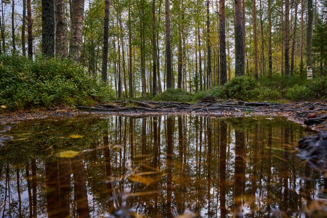 Viltrox 15mm f1.7_18w.jpg