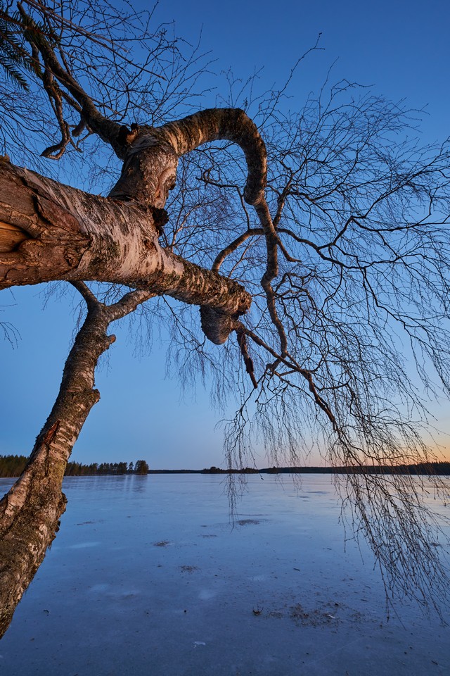 Viltrox 9mm f2.8_7w.jpg