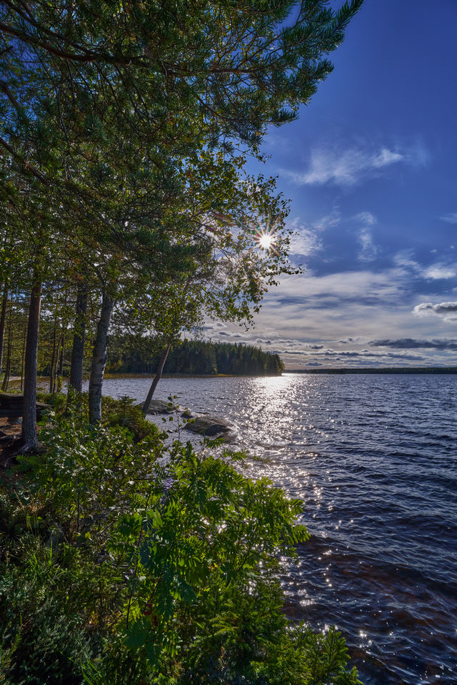 Samyang 16mm f2.8_26w.jpg