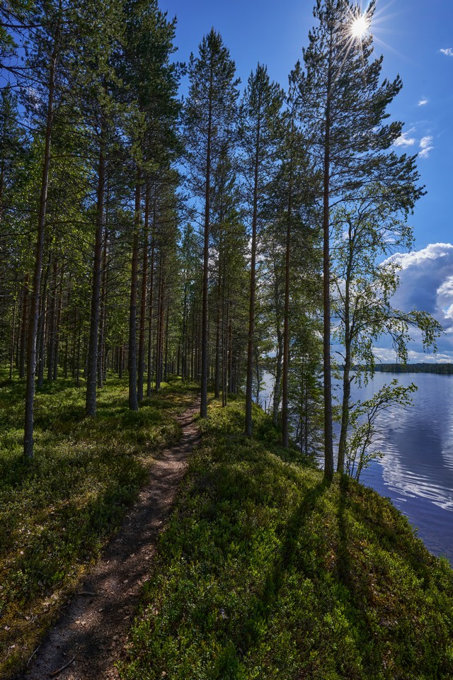 Samyang V-AF 20mm F1.9_10w.jpg