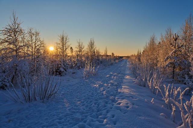 Nikon Z 24-105 f4-7.1_35w.jpg