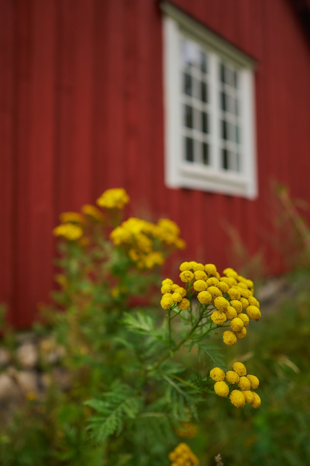 Sigma 12mm f1.4_15w.jpg