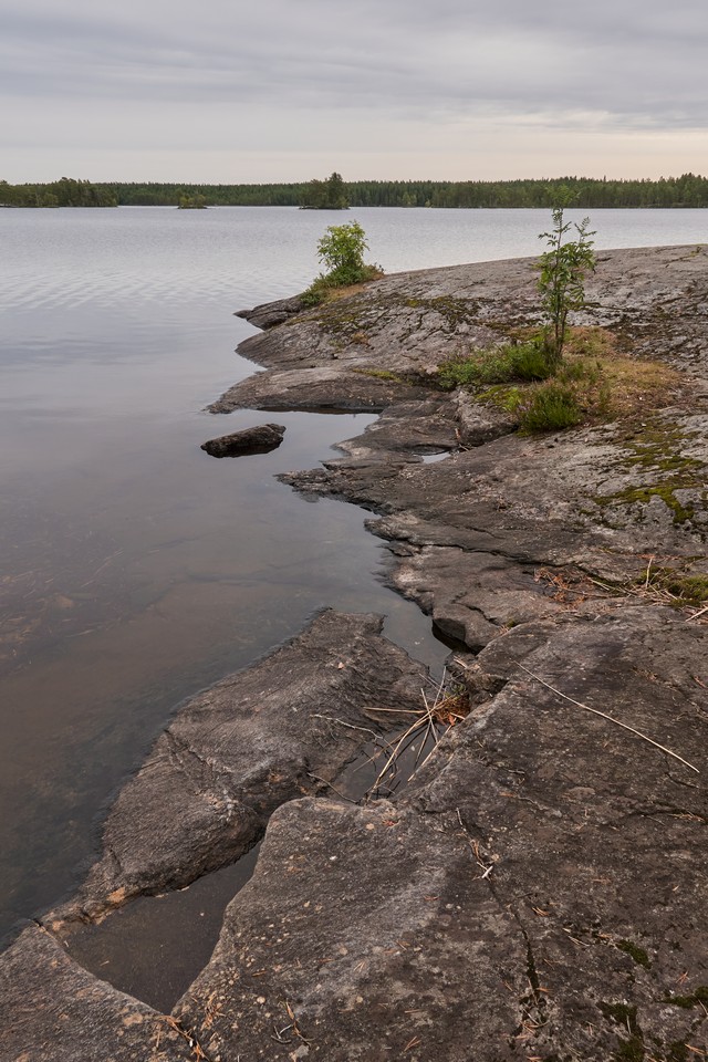 Sony RX 10 V_48w.jpg