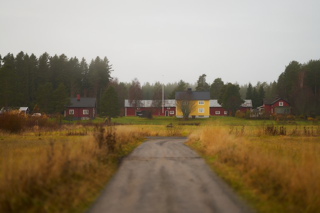 Sigma 135mm f1.4_19w.jpg