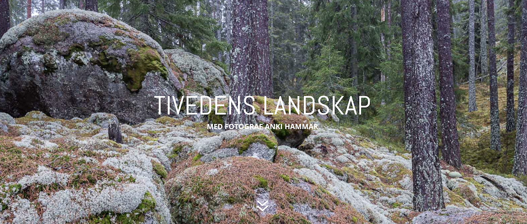 Skärmavbild 2021-04-28 kl. 08.11.22.png