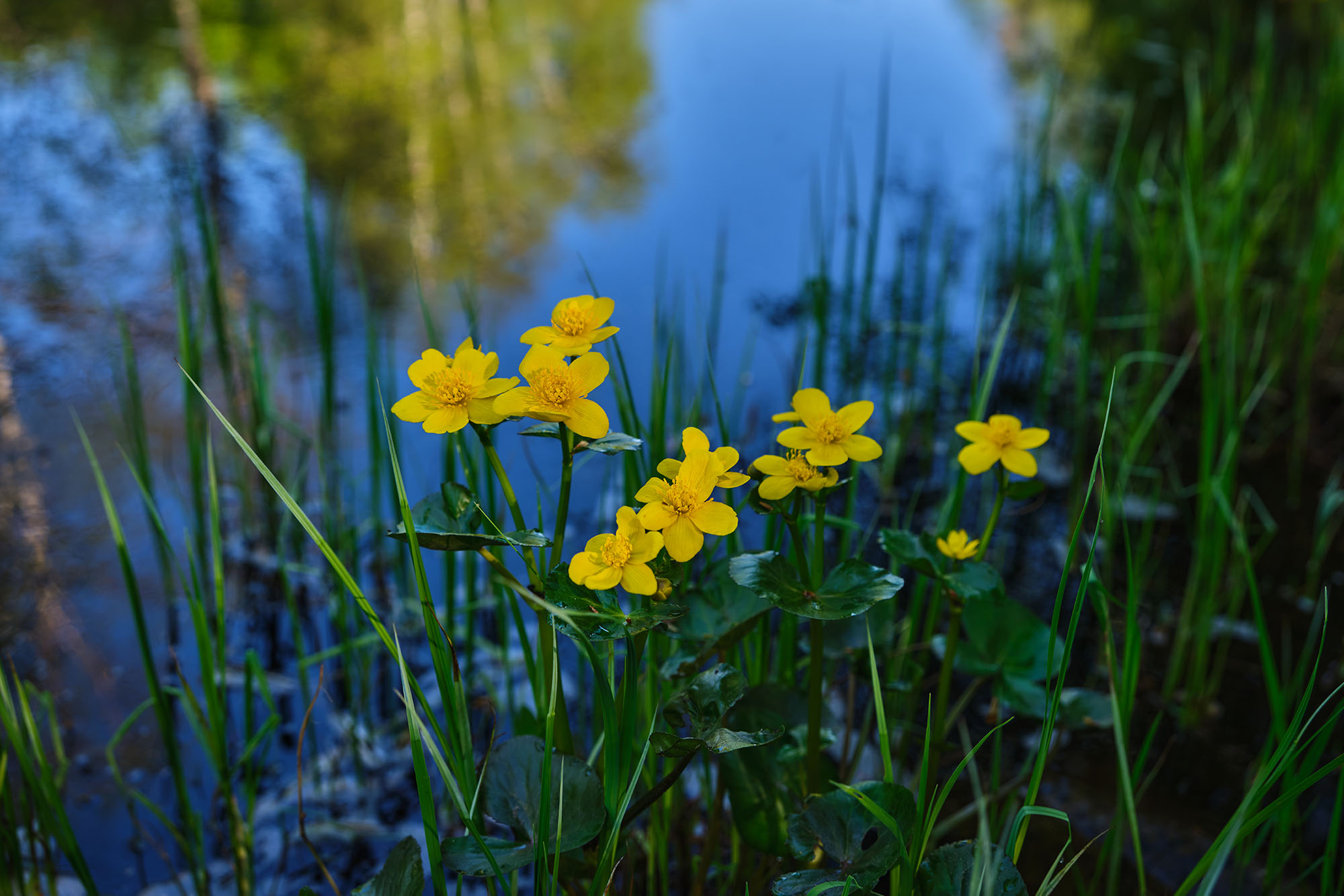FujifilmGFX100SIITest_blogg4.jpg