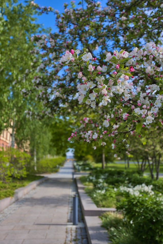 Sony A7R VI_31w.jpg