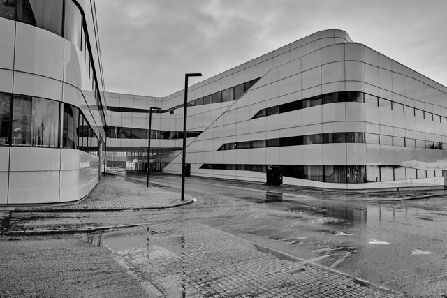 Nikon Z50 II_11w.jpg