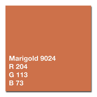 Bakgrundspapper 2,75 x 11 m, Marigold   