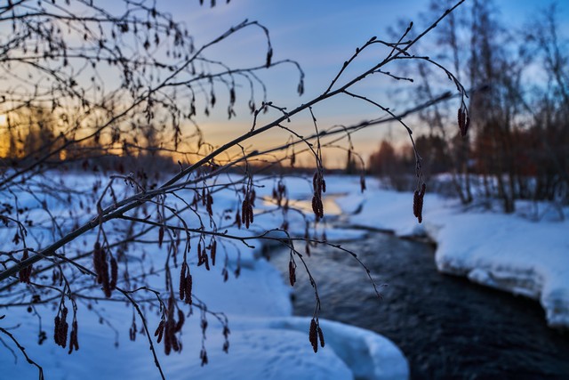 Sony Fe 16-25mm f2.8_10w.jpg