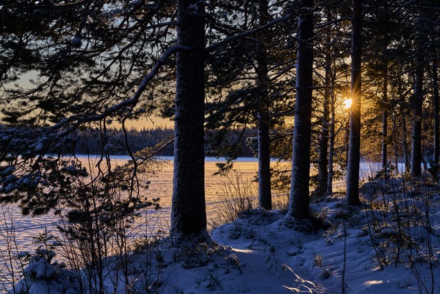 Viltrox 85mm f2 EVO_27w.jpg