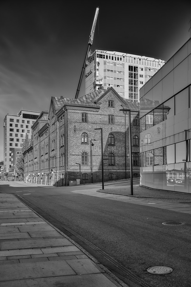 Nikon Z 24-70mm f2.8 II_38w.jpg