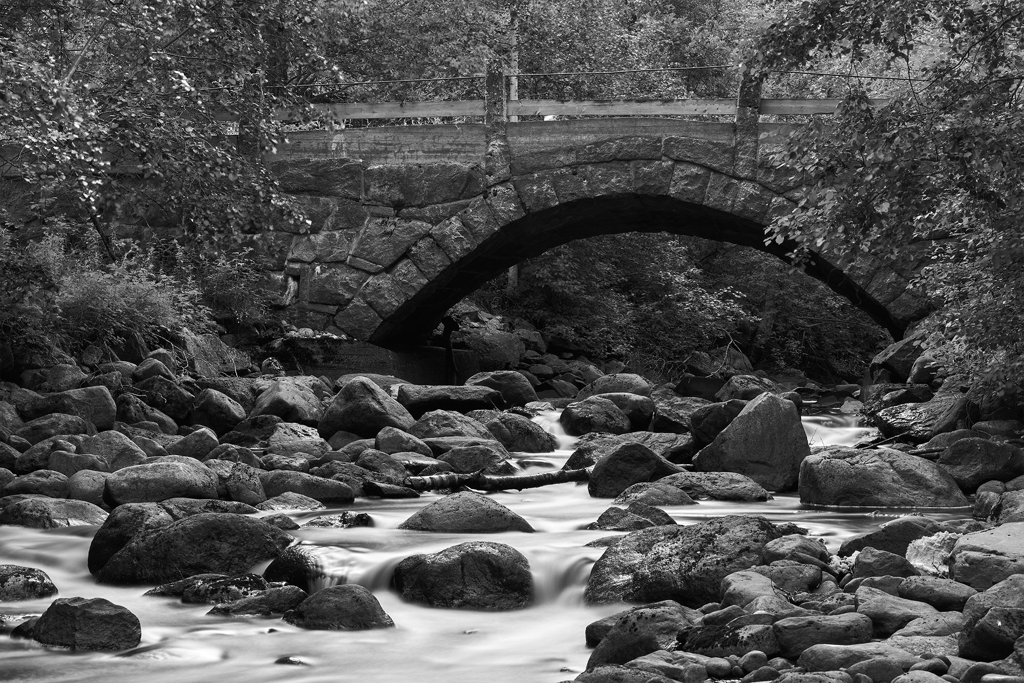 NikonZ6IIITest_blogg2.jpg