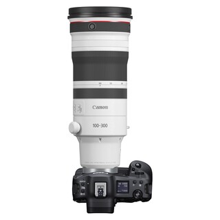 RF 100-300mm f/2,8 L IS USM (fullformat)
