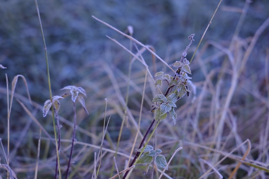 566A74431w.jpg