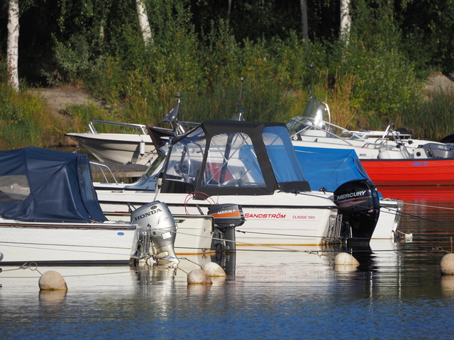 Olympus 100-400_19w.jpg