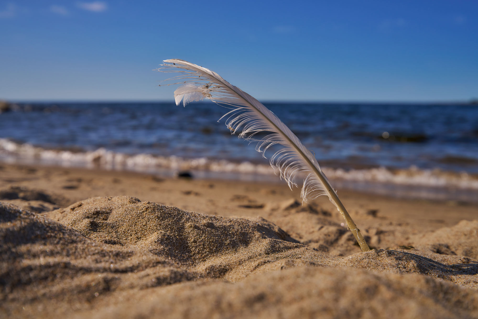 Tamron 16-30mm f2.8_blogg1.jpg