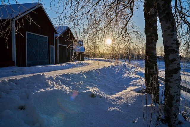 Laowa 28mm f1.2_10f11w.jpg