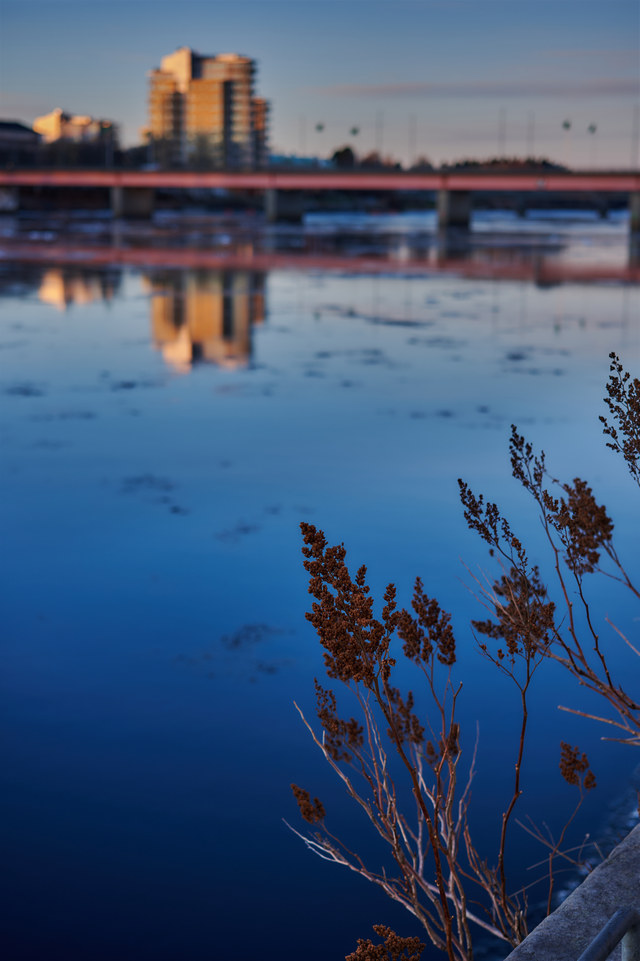 Nikon Z DX MC 35mm f1.7_27w.jpg