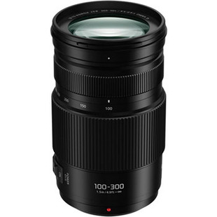 Lumix G Vario 100-300mm f/4-5,6 II Power OIS (för Micro 4/3) (fyndvara)