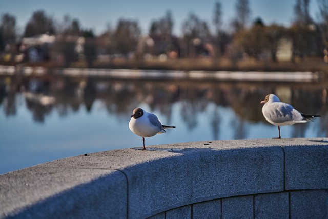 Tamron 35-100mm f2.8_24w.jpg