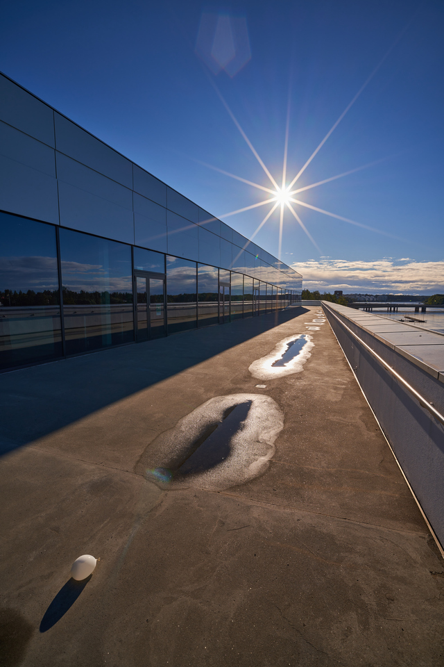 Laowa 12-24mm_8w.jpg