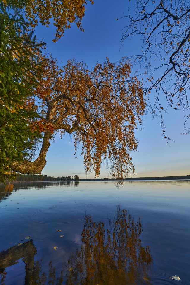 Viltrox 14mm f4_16w.jpg