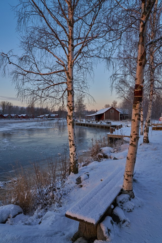 Samyang 24-60mm f2.8_8w.jpg