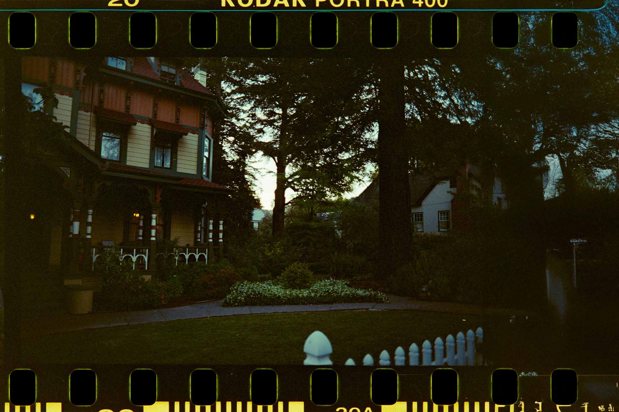 Film.jpg